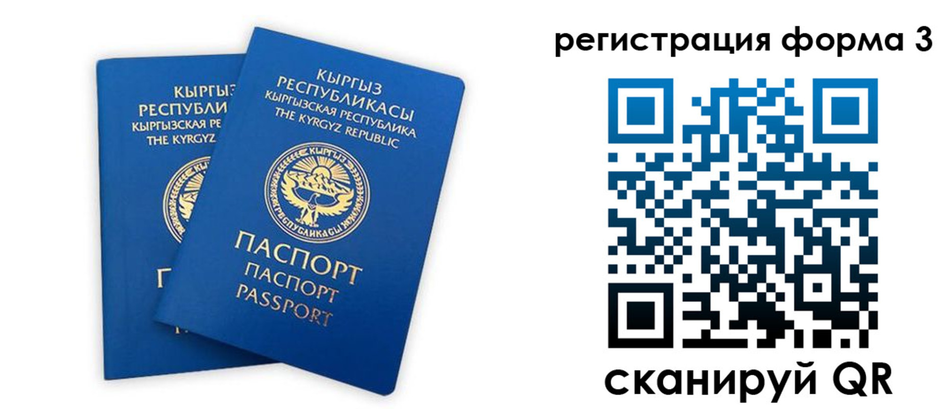 временная регистрация госуслуги в Светогорске